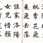 Mariko loves Chinese oracle script
