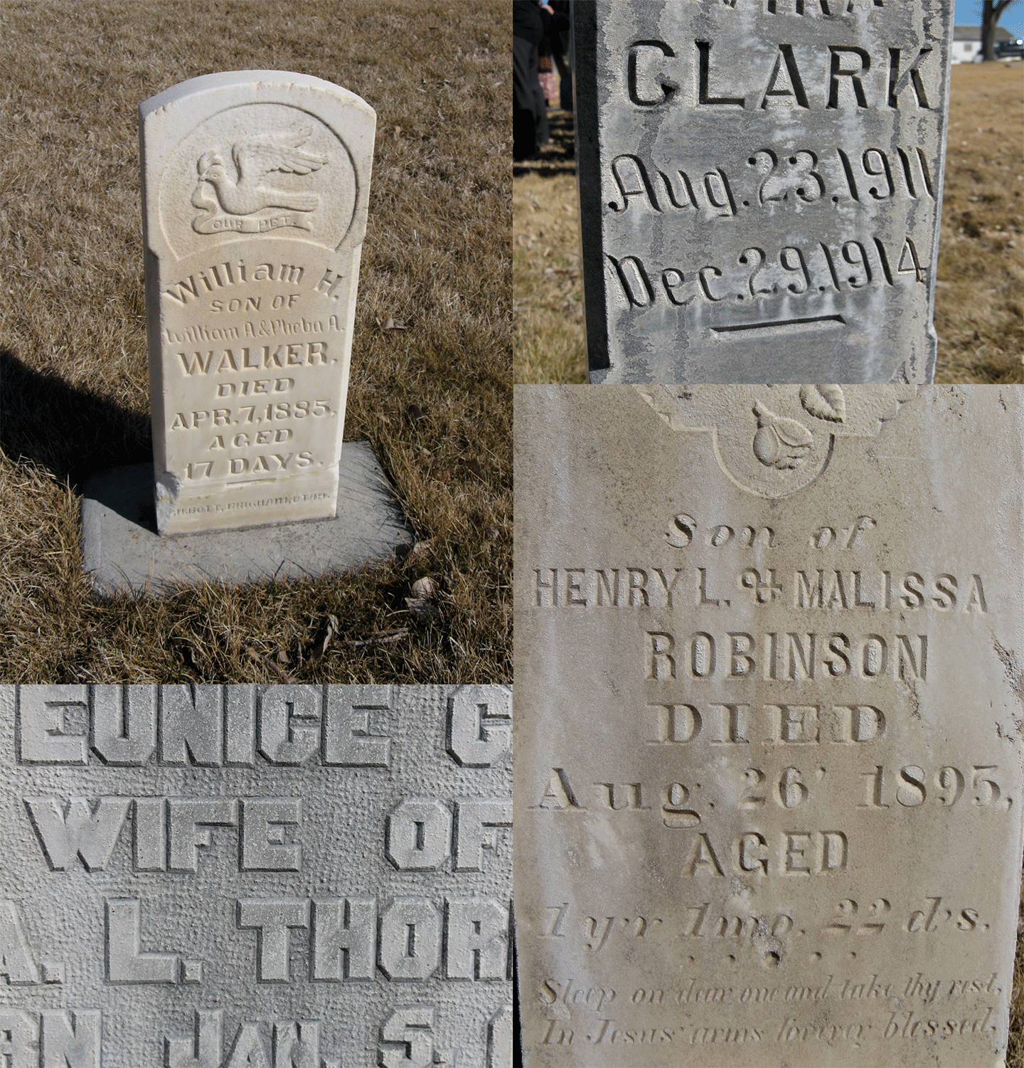 Valley View Cemetery in Rockland, Idaho