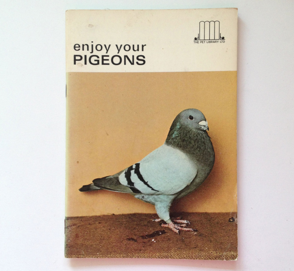 Enjoy your pigeons, 1969.