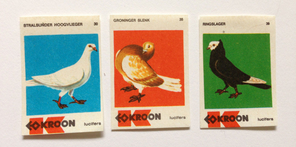 pigeons5