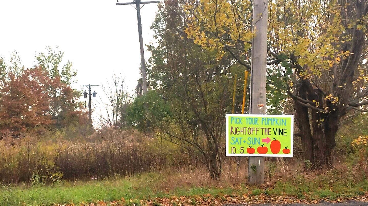 Arrow also pointing to the right. Well played, nameless pumpkin patch. Well played.