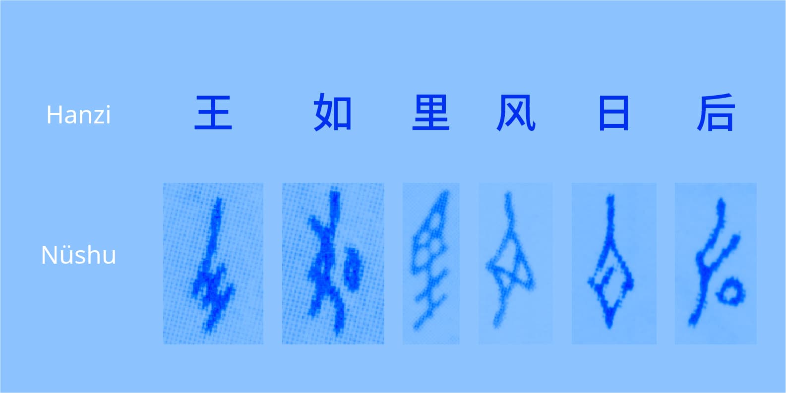 Selection of Chinese Hanzi ans Nüshu similar characters in blue shades