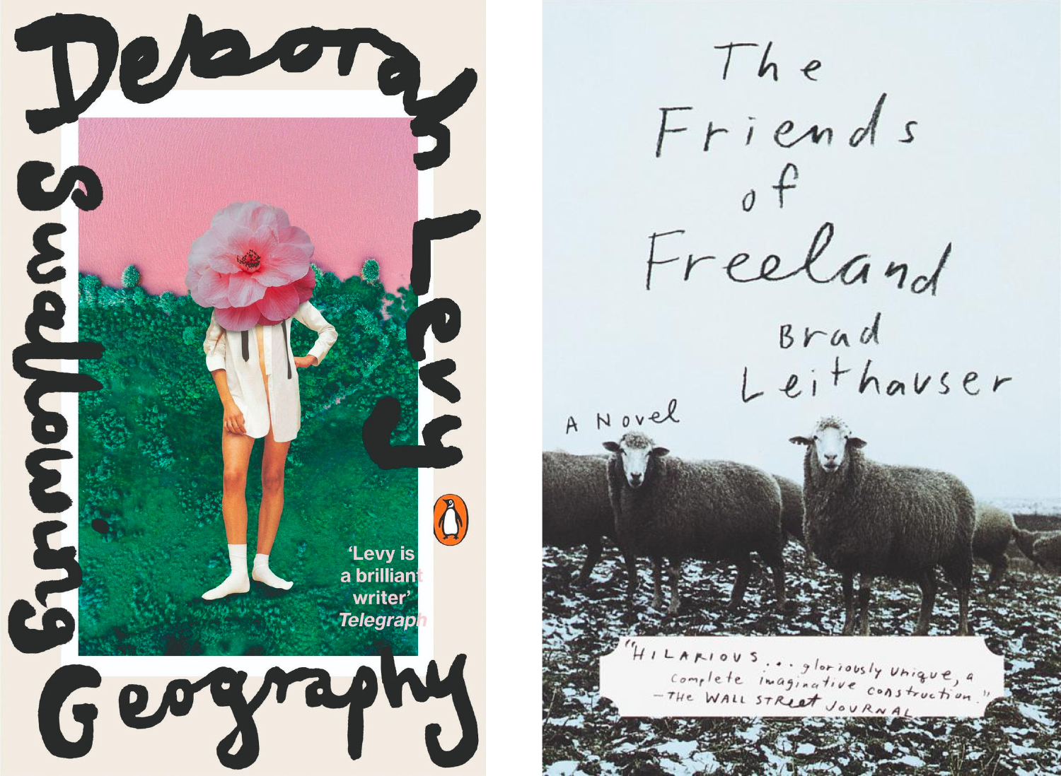 Swallowing Geography and The Friends of Freeland covers