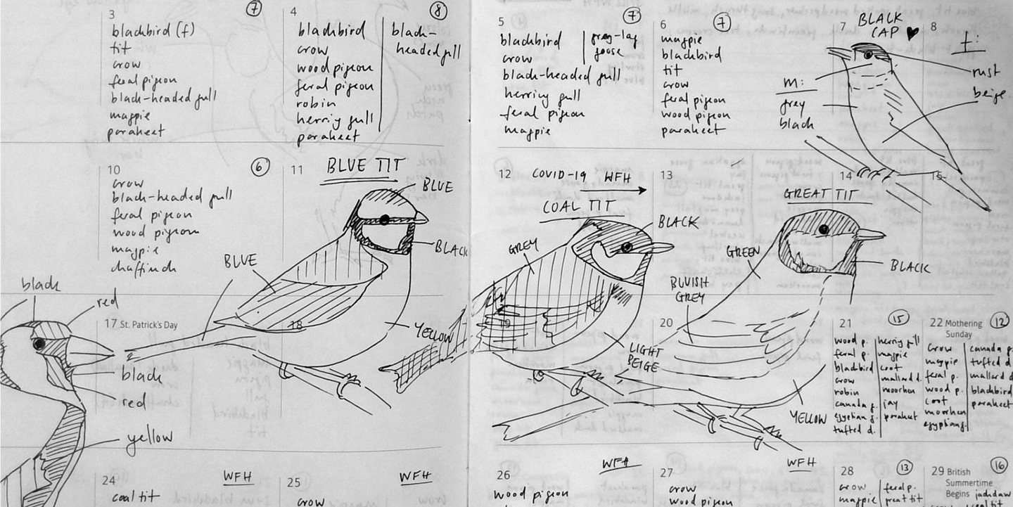 Lists of bird sightings from March 2020 with illustrations of different kinds of tits, a goldfinch, and a blackcap