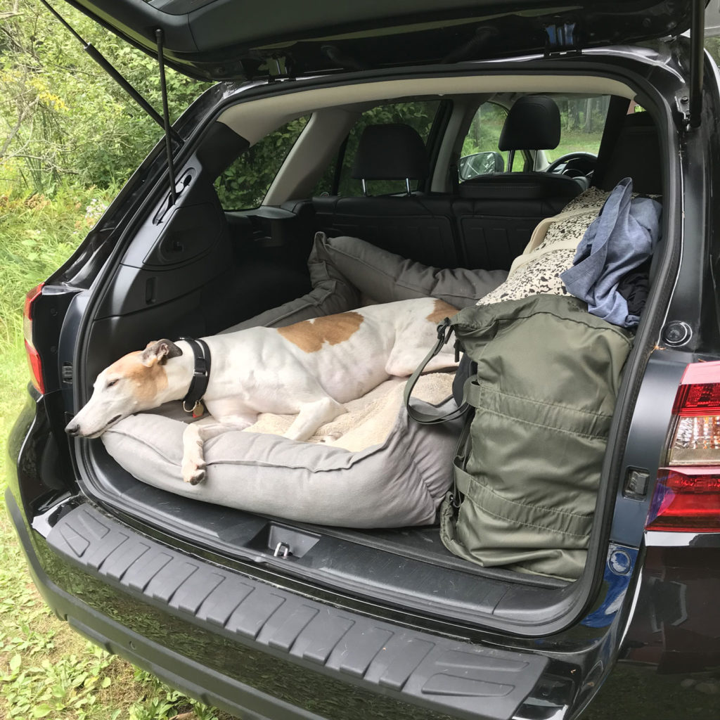 Connie laying in her bed, in the car, surrounded by luggage.