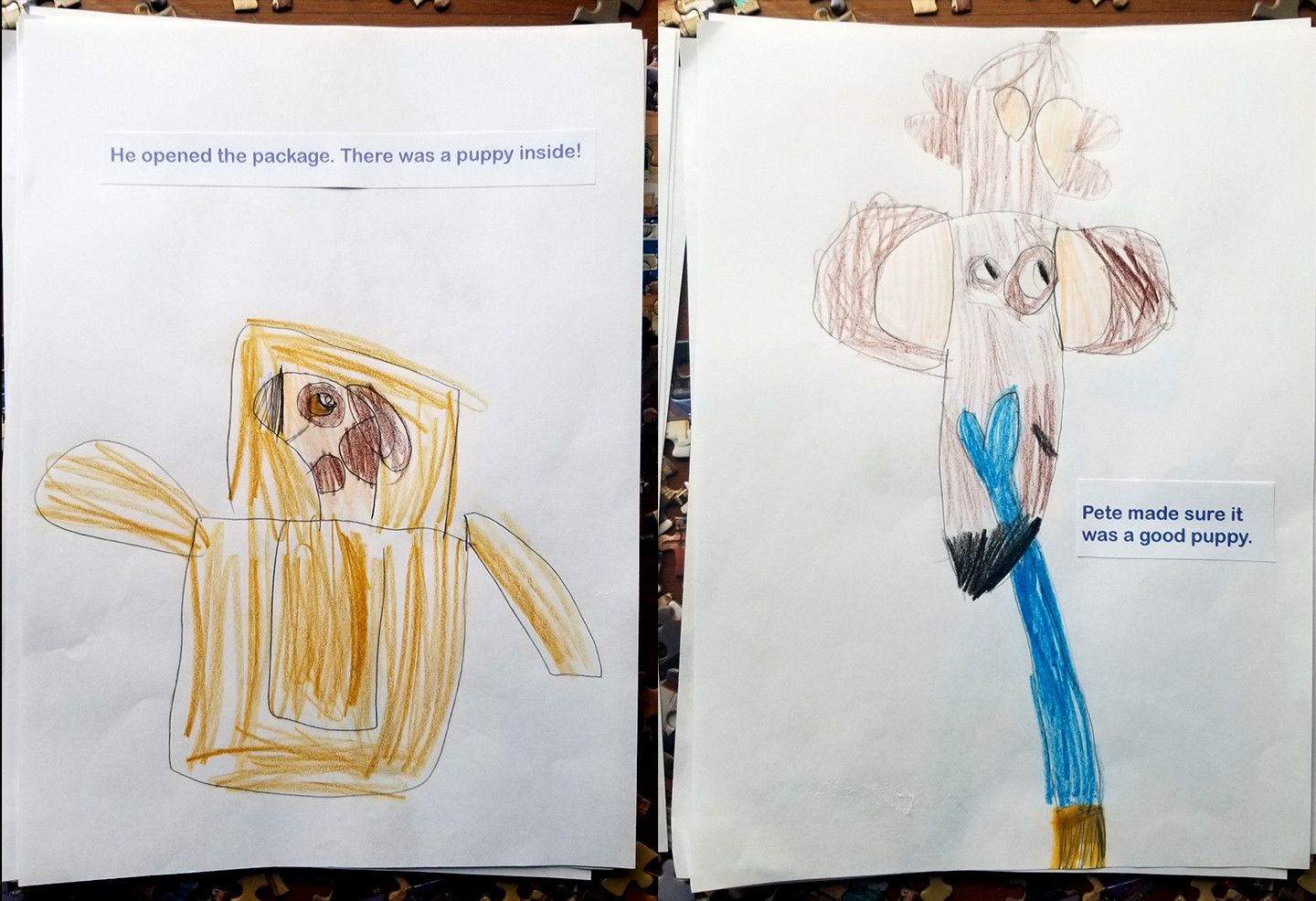 Left page is a drawing of a dog in a box with the text "He opened the package. There was a puppy inside." The right page is a hand petting a dog  with the text "Pete made sure it was a good puppy"