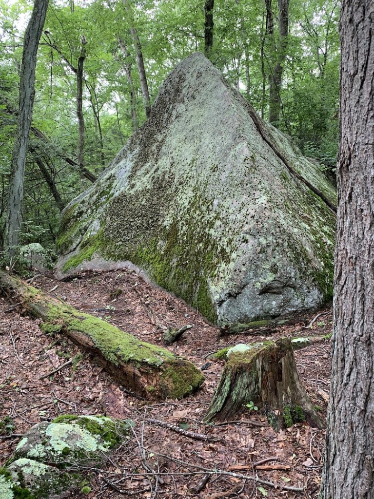 giant sloping rock with fallen tree and other trees surrounding it